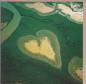 Preview: Herz Karte - Photo von Yann Arthus-Bertrand