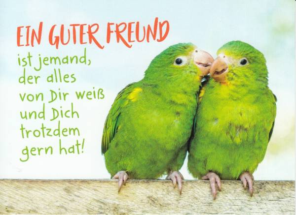 Geschenke_ Ein guter Freund.... Postkarte