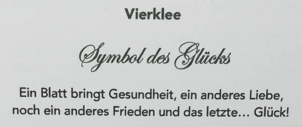 Kleeblatt versilbert mit Kette, aus echtem Kleeblatt