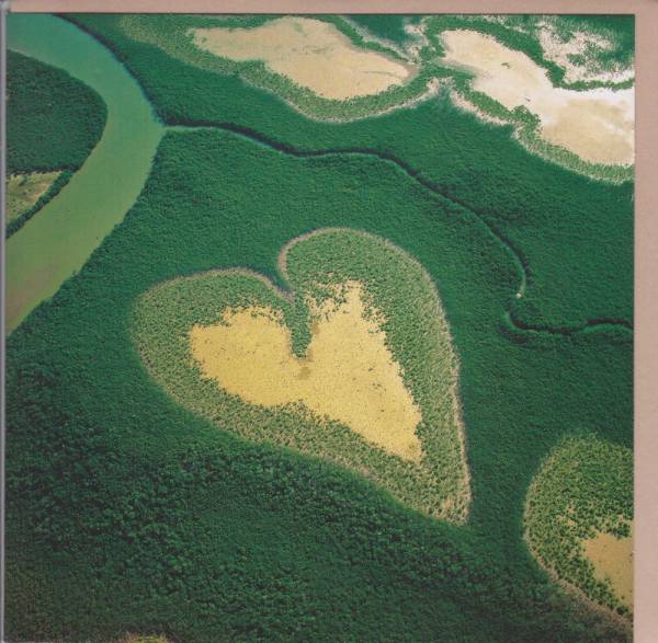 Herz Karte - Photo von Yann Arthus-Bertrand