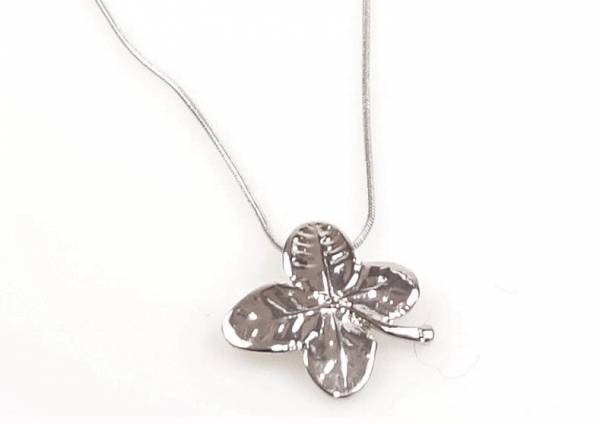 Kleeblatt versilbert mit Kette, aus echtem Kleeblatt