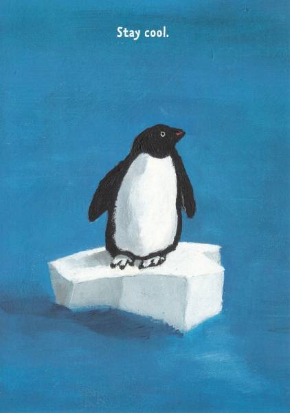 Stay Cool - Pinguin auf Eisscholle - Postkarte