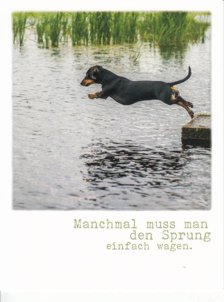 Manchmal muss man den Sprung einfach wagen - Postkarte